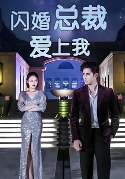 闪婚总裁爱上我