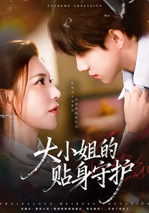 大小姐的贴身守护_枫叶短剧聚合网