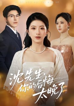 沈先生，你的后悔太晚了_枫叶短剧聚合网