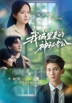 我城里来的神秘老公_枫叶短剧聚合网