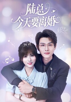 陆总今天要离婚