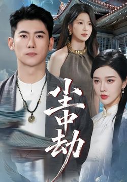 尘中劫_枫叶短剧聚合网