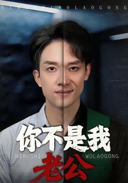 你不是我老公_枫叶短剧聚合网