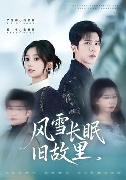 风雪长眠旧故里_枫叶短剧聚合网