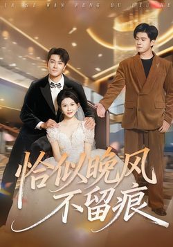 恰似晚风不留痕_枫叶短剧聚合网