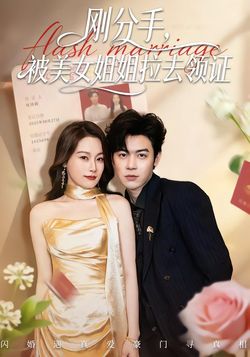 刚分手,被美女姐姐拉去领证_枫叶短剧聚合网