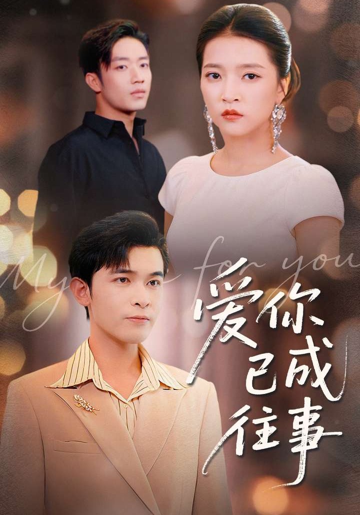 爱你已成往事_枫叶短剧聚合网