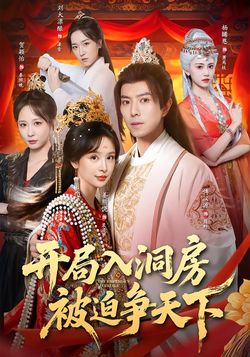 开局入洞房，被迫争天下_枫叶短剧聚合网