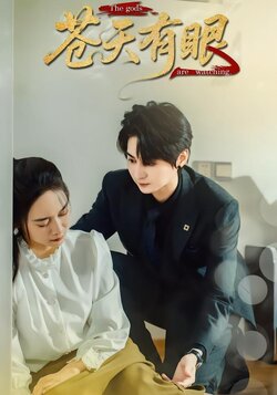 苍天有眼_枫叶短剧聚合网