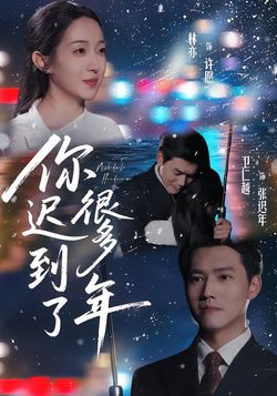 你迟到了很多年_枫叶短剧聚合网