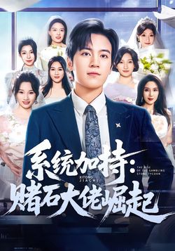 系统加持:赌石大佬崛起_枫叶短剧聚合网