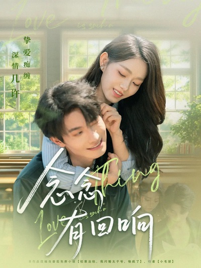 念念有回响_枫叶短剧聚合网