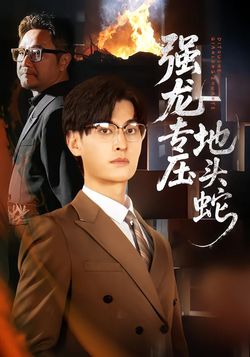 强龙专压地头蛇_枫叶短剧聚合网