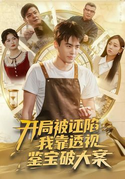 开局被诬陷,我靠透视鉴宝破大案_枫叶短剧聚合网