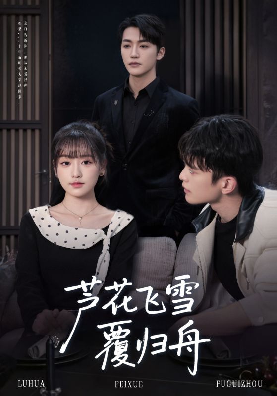 芦花飞雪覆归舟_枫叶短剧聚合网