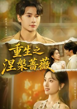 重生之涅槃蔷薇_枫叶短剧聚合网