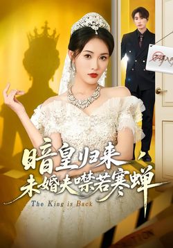 暗皇归来，未婚夫噤若寒蝉_枫叶短剧聚合网