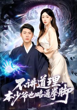 不讲道理，本少爷也略通拳脚_枫叶短剧聚合网