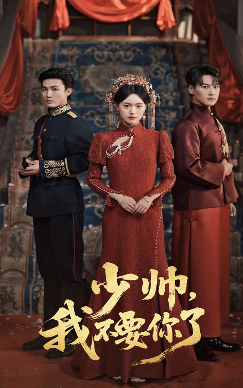 少帅，我不要你了_枫叶短剧聚合网